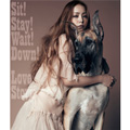 Sit! Stay! Wait! Down! / Love Story (CD ONLY)